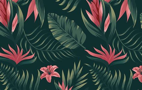 Tropical Floral Pattern, Flower Pattern HD wallpaper | Pxfuel