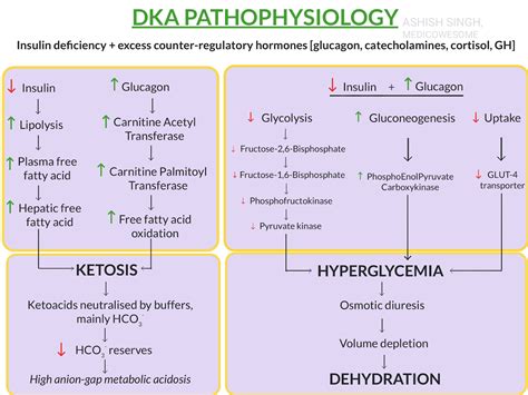 Medicowesome: Pathophysiology: Diabetic Ketoacidosis