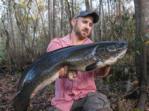 How to Catch Bowfins in Rivers and Tidal Systems | Outdoor Life