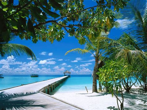 🔥 [20+] Maldives Resort Wallpapers | WallpaperSafari