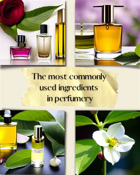 The most commonly used ingredients in perfumery - Damascent