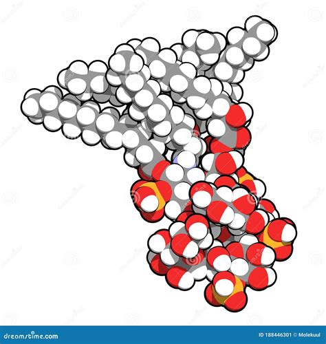 Lipopolysaccharide LPS, Lipid a and Inner Core Fragment Endotoxin ...