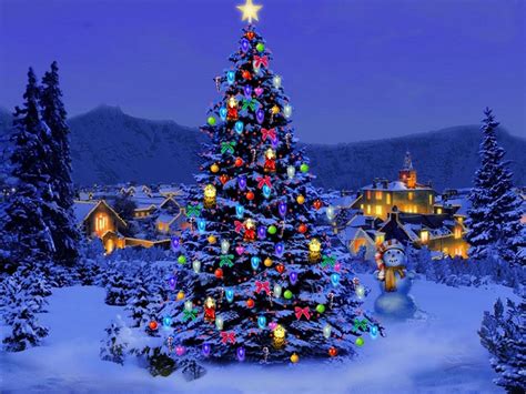 wallpaper: Christmas Trees Wallpapers