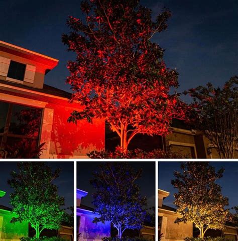 Outdoor Landscape Lighting Spotlight Colors | Brevard County, Florida