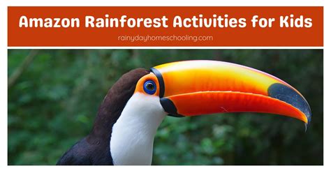 Amazon Rainforest Activities - Rainy Day Homeschooling