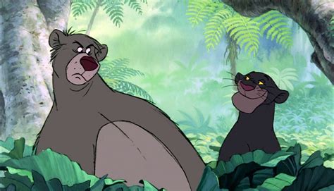 Ten Things You May Not Know About Baloo and Bagheera | Celebrations Press