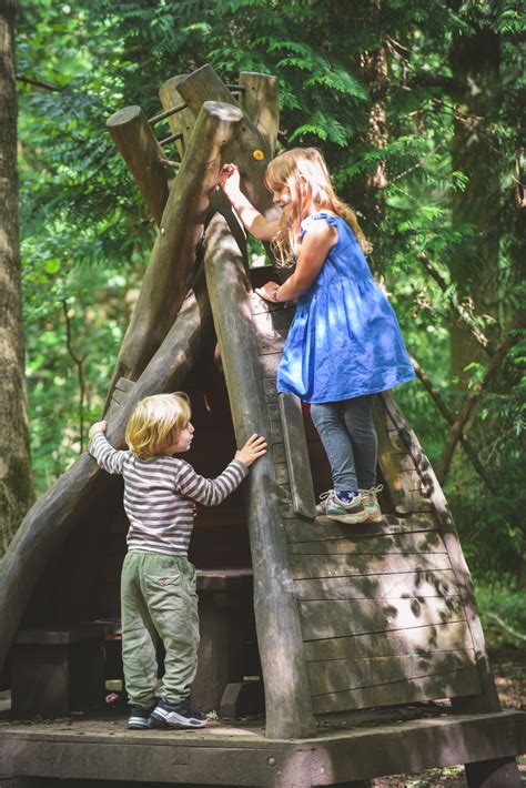 Woodland activities for kids while camping | Campsited