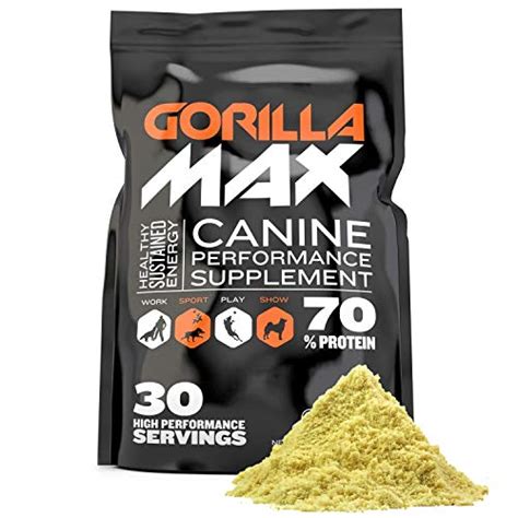 The 10 Best Dog Supplements To Gain Muscle