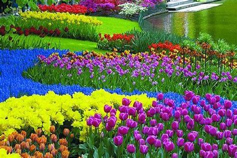 Keukenhof | Tulip Gardens - Flowers