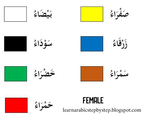 Learn Arabic Colors: Masculine and Feminine Forms