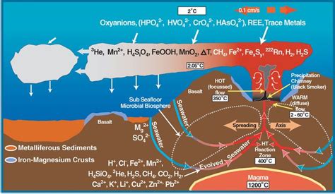 Deep sea vent chemistry diagram - Hydrothermal vent - Wikipedia | Geothermal energy, Deep sea ...