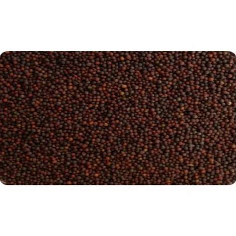 Natural Red Mustard Seed at Rs 130/kg in Halvad | ID: 2850170002088