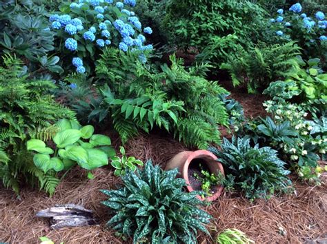 Hostas and Hydrangeas - FineGardening