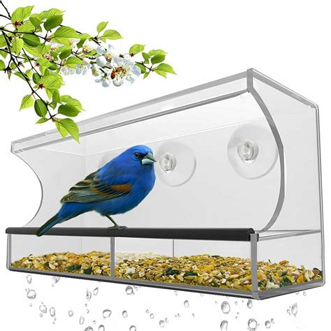 Window Bird Feeder with Strong Suction Cups