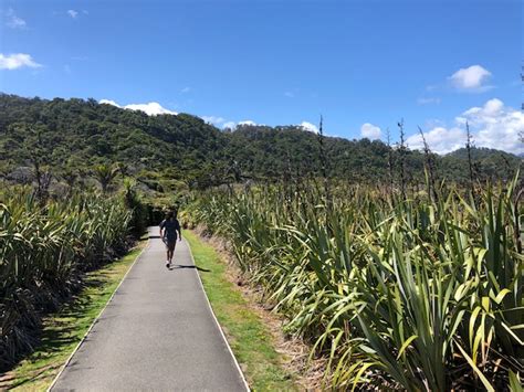 Travels: Paparoa National Park, New Zealand – Lyric Art