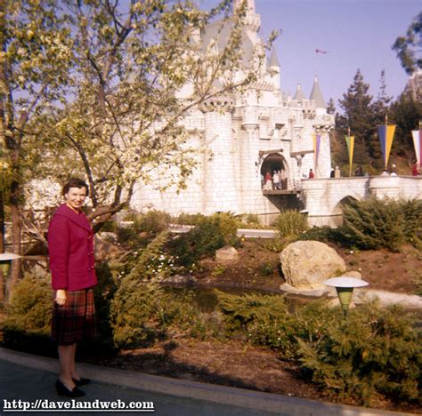 Daveland Disneyland Castle Photos