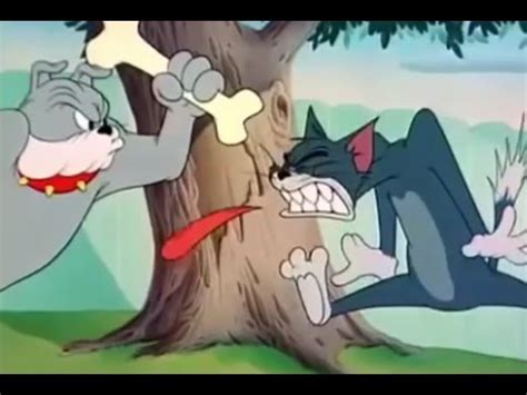 Tom And Jerry The Framed Cat You - Bangmuin Image Josh