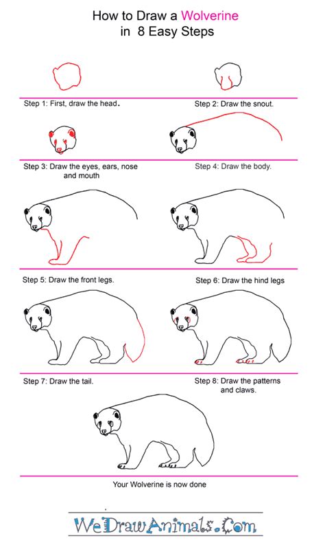 How to Draw a Wolverine