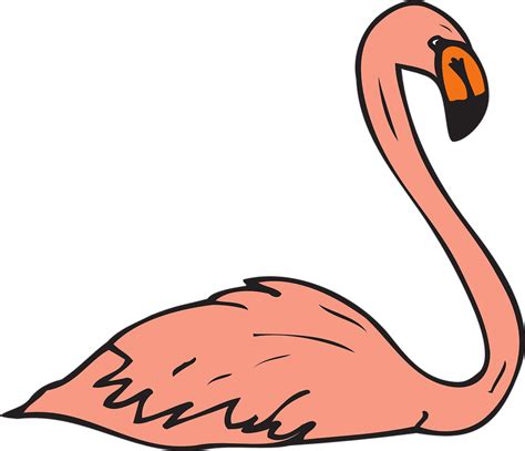 Pink Bird Swimming · Free vector graphic on Pixabay