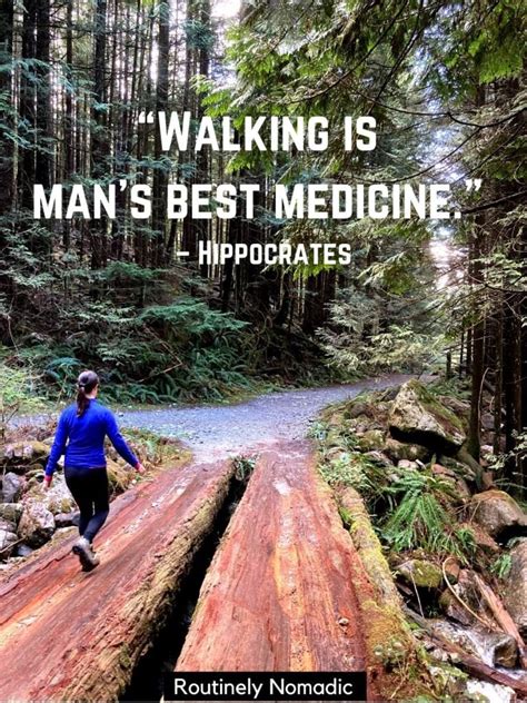 The Best Walking Quotes | Routinely Nomadic