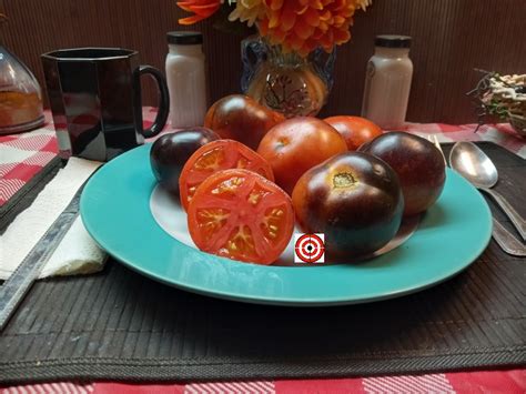 The Best Antho Tomatoes Wild Card Blues Tomato Seeds Available Here. - Bounty Hunter Seeds ...