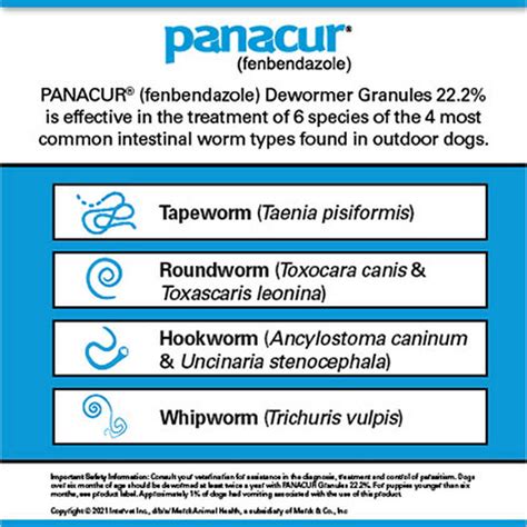 Panacur Puppy Wormer Dosage / Panacur Bs Pet Plus - Owing to the reduced dose rate for treatment ...