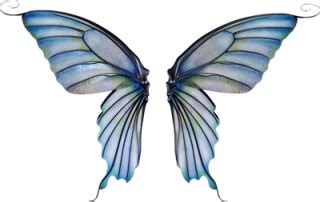 Fairy Wings PNG, Fairy Wings Transparent Background - FreeIconsPNG