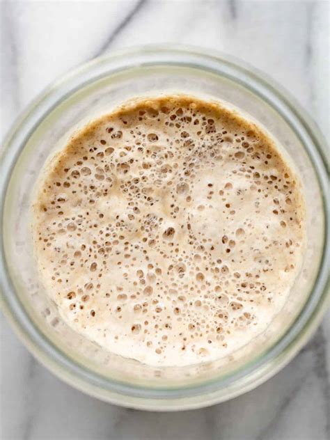 Easy Sourdough Starter Recipe for Beginners - Little Spoon Farm