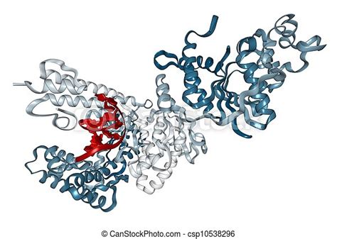 Taq polymerase molecule - chemical structure. Chemical structure of taq polymerase, the key ...