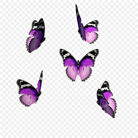 Butterfly Group Clipart PNG Images, A Group Of Purple Butterflies ...