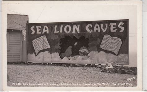 STUMPTOWNBLOGGER: SEA LION CAVES