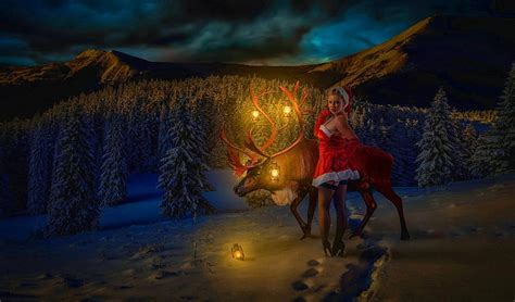 X-Mas Winter Wonderland, woods, woman, xmas, women, valley, lights, animal, fantasy, HD ...