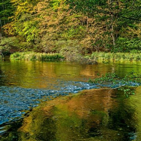 Drawa National Park - ITS Poland