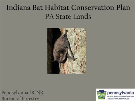 Indiana Bat Habitat Conservation Plan PA State Lands