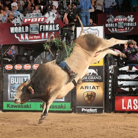 a man riding on the back of a bull at a rodeo