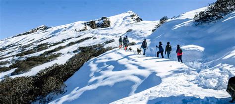 chopta tungnath trek guide - Jyotirmath