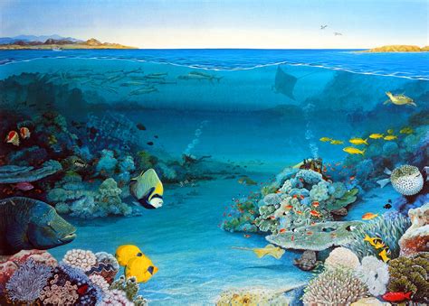 Coral Garden Fine Art Print - Deep Impressions Underwater Art