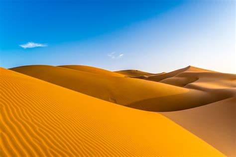 Sand dunes ‘talk’ to each other as they creep across the desert, researchers find