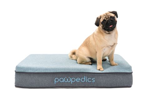 The Best Dog Bed For Arthritis