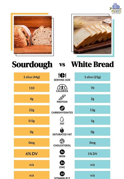 Sourdough vs. White Bread: 6 Key Differences and How to Best Serve Them