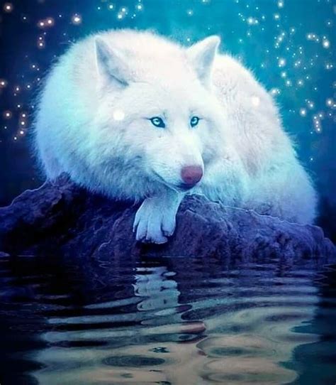 Wolf Love, Arktischer Wolf, Wolf Eyes, Artwork Lobo, Wolf Artwork, Images Roi Lion, Wolf With ...