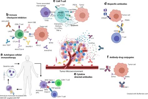 Immunotherapy mechanisms in prostate cancer. a Sipuleucel-T involves ...