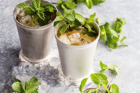 Mint Julep Recipe - Culinary Hill