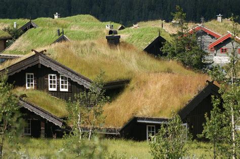 Norwegian grass roofs Photograph by Jessica Rose - Pixels