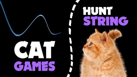 CAT GAMES | Blue STRING thing for cats - YouTube