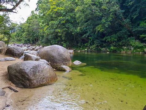 Mossman Gorge Swimming Hole: Full Guide to a Rainforest Escape!