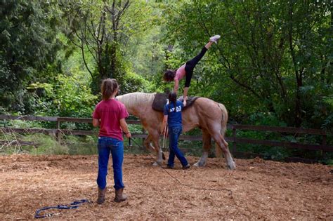 Timberline Ranch - Maple Ridge Traditional (multi activity)