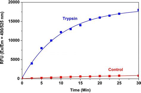 Proteases | AAT Bioquest