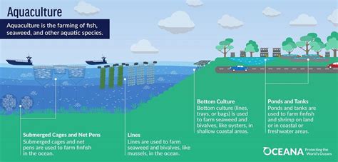 Aquaculture - Oceana