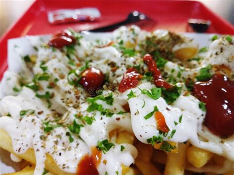 French fries with toppings stock photo. Image of fries - 165225990